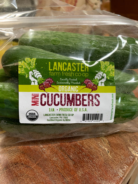 Organic Mini Cucumbers