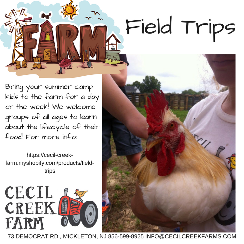 Field Trips at Cecil Creek Farm