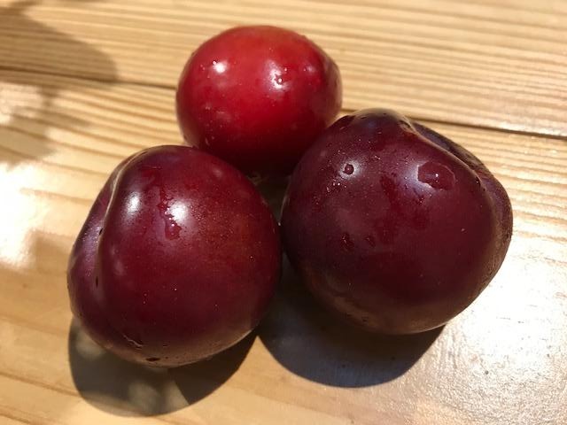 Fruit, Organic Red Plums, 1 each