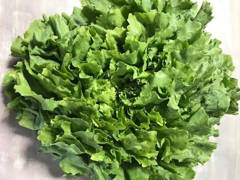 Produce, Cecil Creek Farm, Escarole, 1 bunch