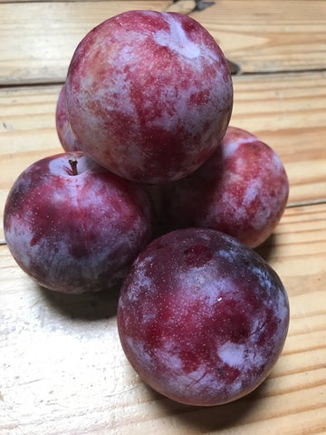 Fruit, Organic Honey Pluots (apricot/plum)