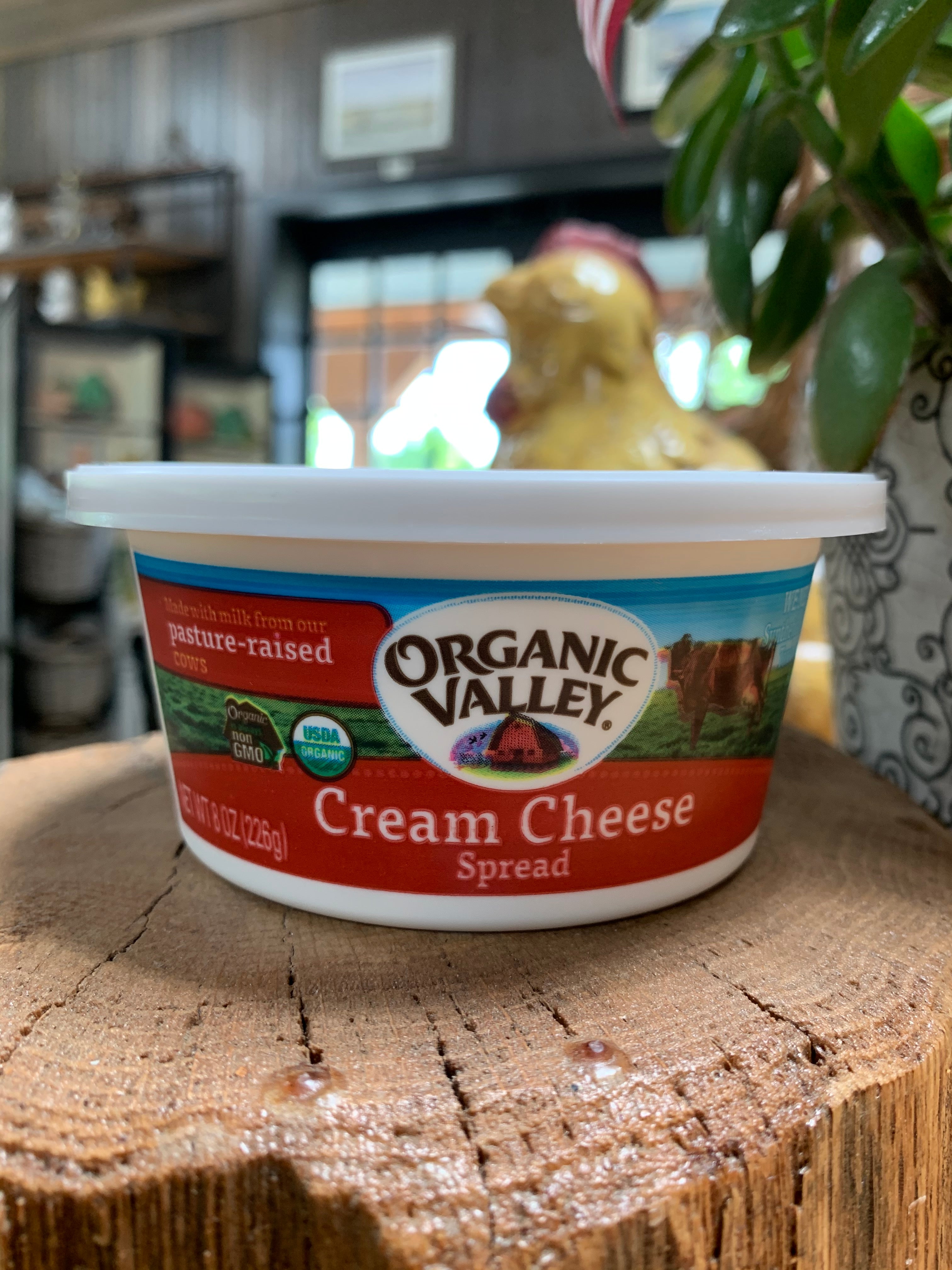 V18KDRY CREAM 45g✖️7個セット お土産つき Cream Cheese Spread,Organic Valley,8oz tub – Cecil Creek Farm