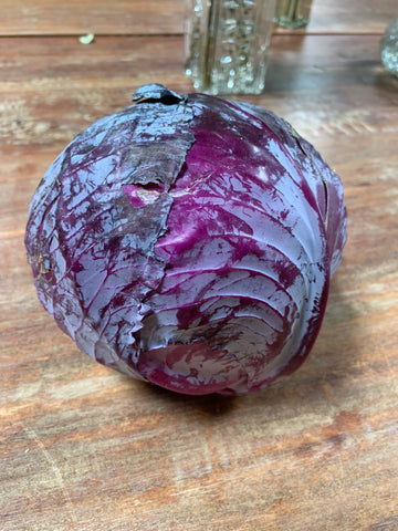 Copy of Produce, Cecil Creek Farm, Organic Red Cabbage 1 head